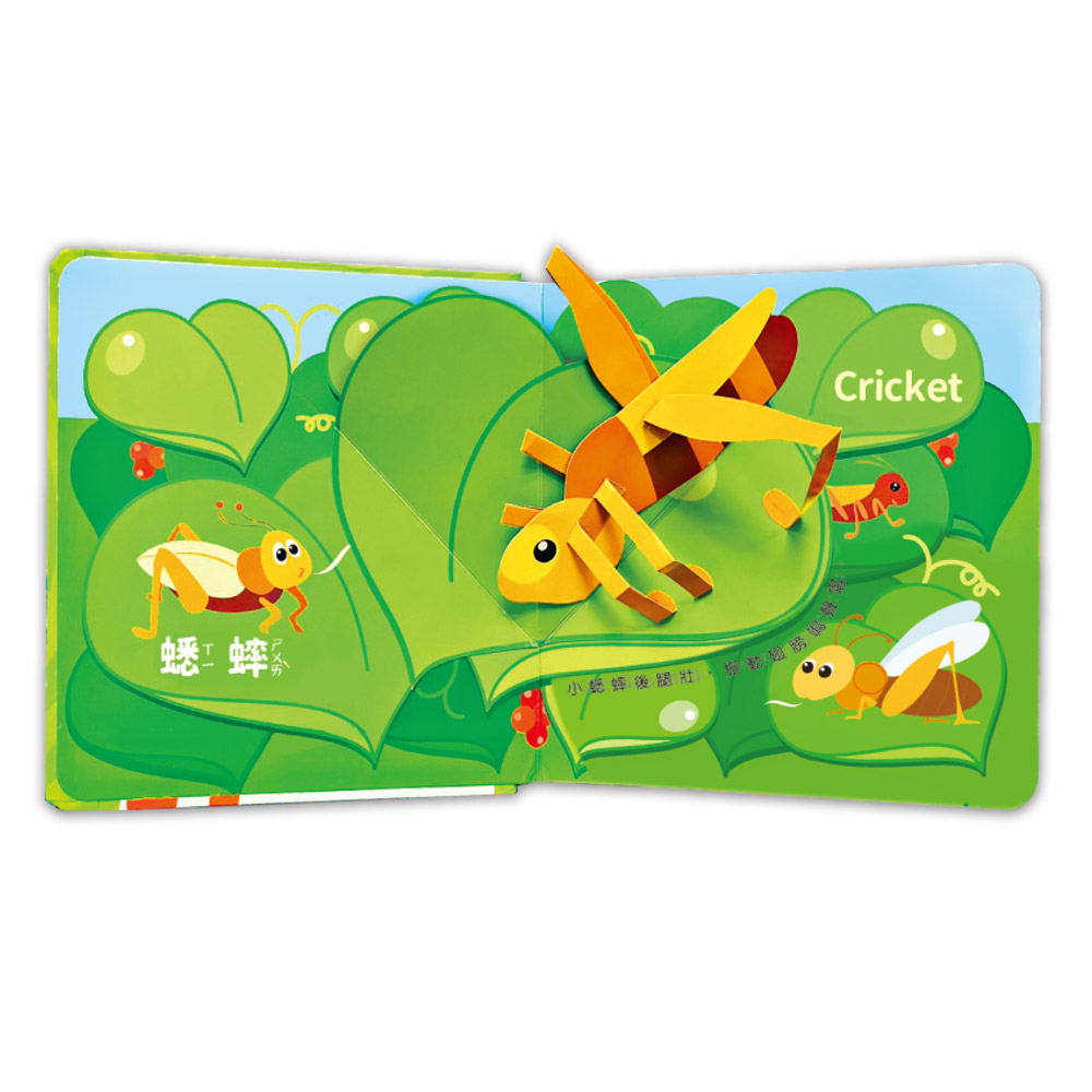 這是,什麼聲音?-大自然